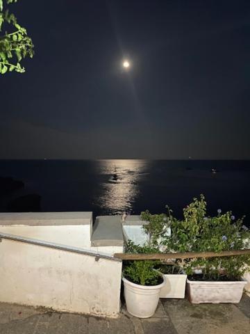 Iulia 3* Ventotene
